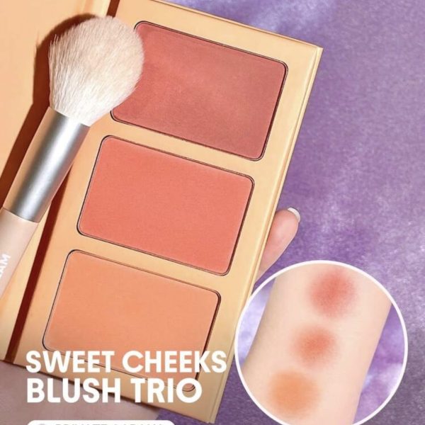 SHEGLAM Trio De Fards à Joues Sweet Cheeks-Palette De Fards à Joues En Poudre Private Cabana 3 Couleurs Fard à Joues Mat Longue Tenue à Haute Pigmentation Fard à Joues Toute La JournéE  NoëL Hiver Rose Brun Rosa PâQues FêTe Des MèRes Remise De DiplôMe Anniversaire Vacances Printemps ÉTé Y2K Fantaisie Mode Maquillage CosméTique FêTe Plage Voyage Camping ExtéRieur ÉCole Campus Voyage Festivals DéCor Cadeau PréSent Rose Fille Cosplay Meilleur Couleur Charme Ambiance