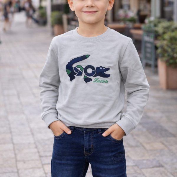 2pcs Pull Lacoste + Jean Hermes